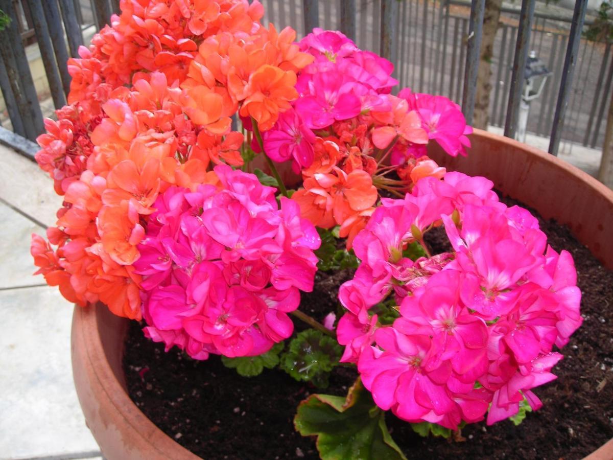 B&B San Salvador Санта Мария ал Баньо Екстериор снимка
